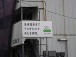 IMGP0399.JPG